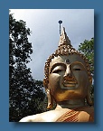 51 Buddah at Koh Phayam